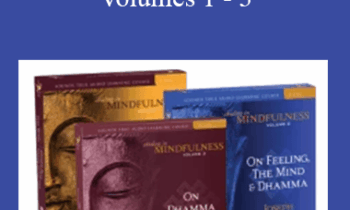 Joseph Goldstein - Abiding in Mindfulness Volumes 1 - 3
