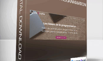 Maxime Britto - Les bases de la programmation