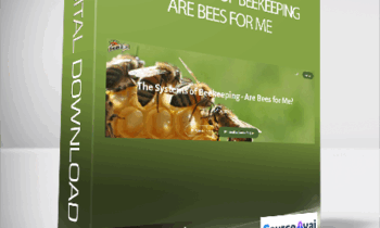 Michael Jordan - The Systems of Beekeeping - Are Bees for Me