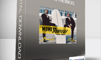 Money Surfers - Surfing The Bricks (SurfingTheBricks® di MoneySurfers)
