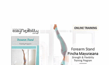 Paul Zaichik - Easy Flexibility - Forearm Stand