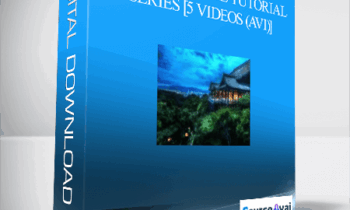 Robert Miner-Complete Price Tutorial Series [5 Videos (AVI)]