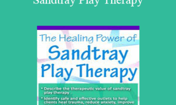 Tammi Van Hollander - The Healing Power of Sandtray Play Therapy