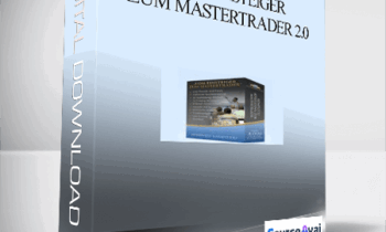 Vom Einsteiger zum Mastertrader 2.0