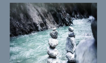 Wendi Friesen - Zen Of Thin