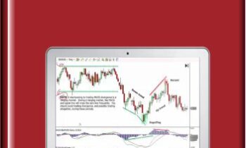 Support & Resistance - Brian Houston
