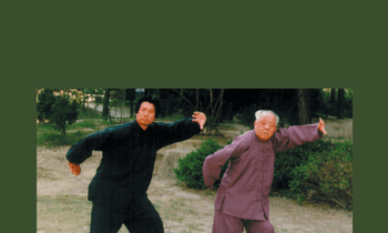 Healing Without Medicines: Daoyin Practices of Yin Style Bagua - Xie Pieqi