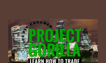Learn How To Trade - Project Gorilla