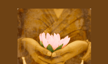 The Power to Heal Yourself Mentorship Program - Margaret Paul