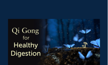 Qi Gong for Healthy Digestion - Lee Holden