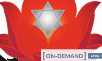 On-Demand Meditation Level 1 Course - Gregor Maehle - $69