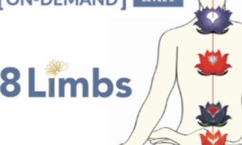 On-Demand Meditation Level 3 Course - Gregor Maehle - $59