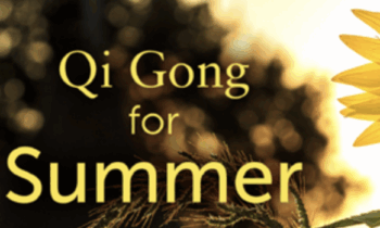 Qi Gong for Summer Workshop - Lee Holden - $29