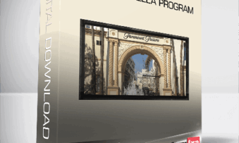 Dominic Morgan – The Scriptfella Program