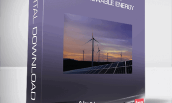 Gregory Ahuy & Bekzod Kasimov – M&A Modeling for Renewable Energy