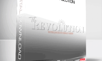 The Revolution by Jocelyn Kelly Reid
