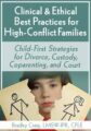 Clinical & Ethical Best Practices for High-Conflict Families -Child-First Strategies for Divorce, Custody, Coparenting, and Court – Bradley Craig