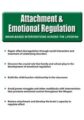 Attachment and Emotional Regulation – Mark L. Beischel