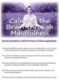 Calming the Brain through Mindfulness -Rewire Emotions with the Power of Neuroplasticity – Mark L. Beischel
