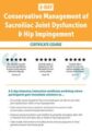 2 DAY-Conservative Management of Sacroiliac Joint Dysfunction & Hip Impingement – Kyndall Boyle