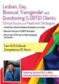 Lesbian, Gay, Bisexual, Transgender and Questioning (LGBTQ) Clients -Clinical Issues and Treatment Strategies – Joe Kort