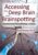 Accessing the Deep Brain with Brainspotting – Interpersonal Neurobiology in Action – David Grand, Ph.D.