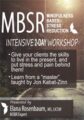 2-Day Certificate Course -MBSR -Mindfulness Based Stress Reduction – Elana Rosenbaum