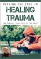 Working the Edge in Healing Trauma -Can Therapy Sometimes Be Too Safe – Diane Poole Heller