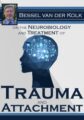 Bessel van der Kolk on the Neurobiology and Treatment of Trauma and Attachment – Bessel van der Kolk
