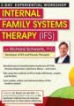 Internal Family Systems Therapy (IFS) -2-Day Experiential Workshop – Richard C. Schwartz