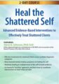 2-Day Course -Heal the Shattered Self-Advanced Evidence-Based Interventions to Effectively Treat Shattered Clients – Steve A Johnson