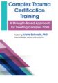 Complex Trauma Certification Training-A Strength-Based Approach for Treating Complex PTSD – Arielle Schwartz