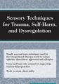 Sensory Techniques for Trauma, Self-Harm, and Dysregulation – Brooke Wimer