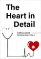 The Heart in Detail – Cathy Lockett