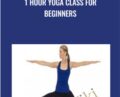 1 hour Yoga class for beginners – Alex Genadinik