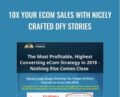 10X Your Ecom Sales With Nicely Crafted DFY Stories – Viral Story Funnels