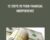 12 Steps to Your Financial Independence – Dr. Andrew Stotz