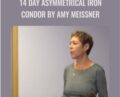 14 Day Asymmetrical Iron Condor – Amy Meissner