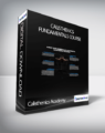 Calisthenics Academy – Calisthenics Fundamentals Course