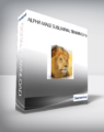 Alpha Male Subliminal Training v 6