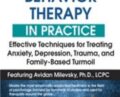2-Day-Cognitive Behavioral Therapy in Practice-Effective Techniques… – Avidan Milevsky