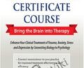 2-Day Intensive Neuroscience Certificate Course-Bring the Brain into Therapy – Carol Kershaw & Bill Wade