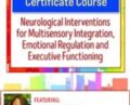 2-Day Self-Regulation Certificate Course-Neurological Interventions for Multisensory Integration, Emotional Regulation and Executive Functioning – Varleisha D. Gibbs