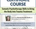 2-Day Trauma Certificate Course-Somatic Psychotherapy Skills to Bring the Body into Trauma Treatment – Manuela Mischke-Reeds