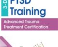 3-Day Complex PTSD Training-Advanced Trauma Treatment Certification – Arielle Schwartz