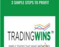 3 Simple Steps to Profit – Vince Vora