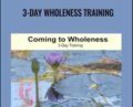 3-day Wholeness Training – Connirae Andreas