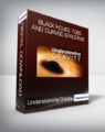 Black Holes, Tides, and Curved Spacetime – Understanding Gravity