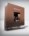 David Williamson – Ridiculous