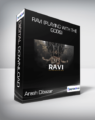 Arash Dibazar – Ravi (playing with the gods)